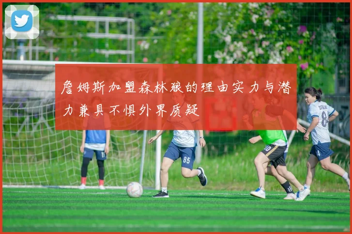 詹姆斯加盟森林狼的理由实力与潜力兼具不惧外界质疑